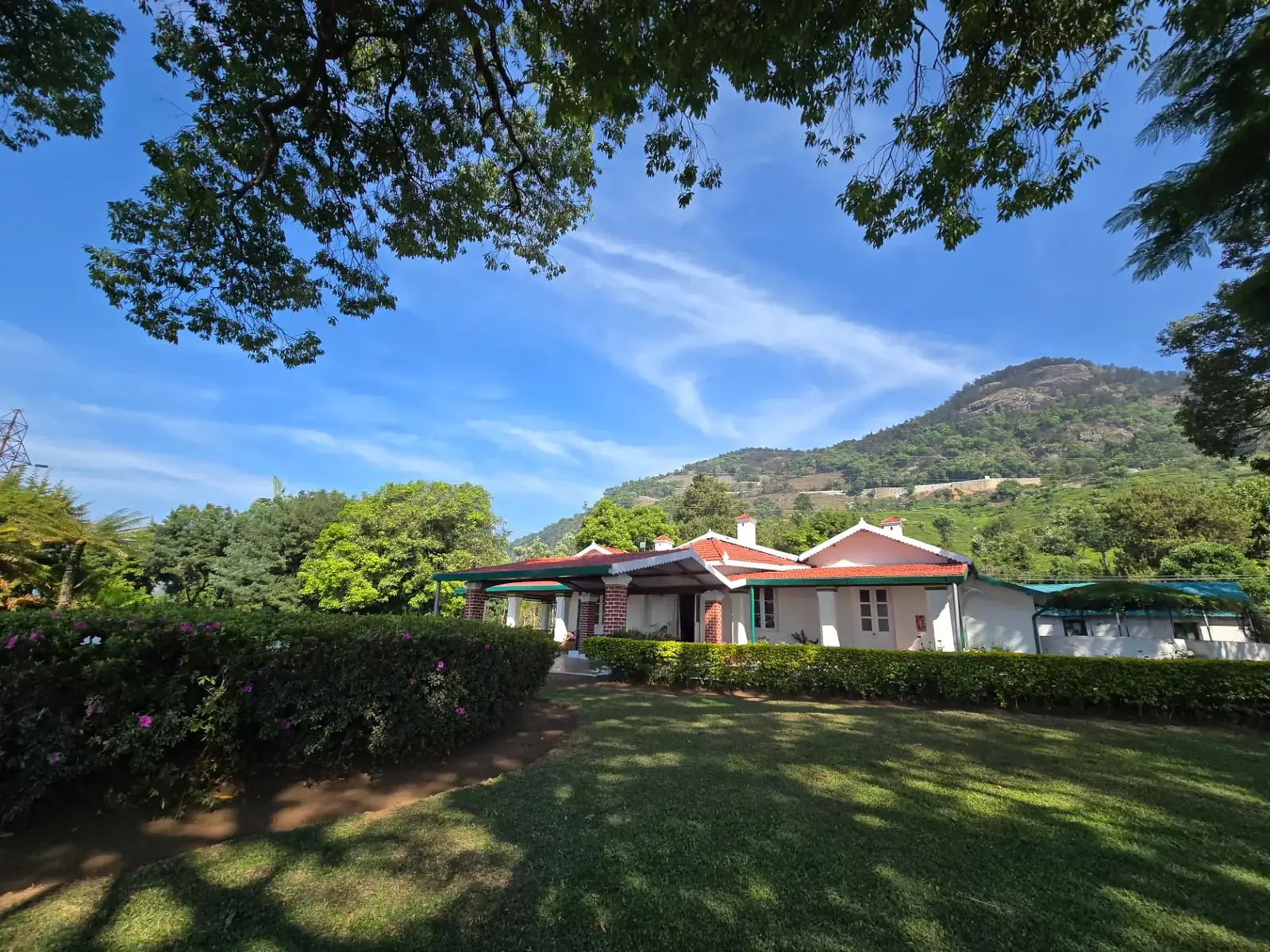 The same bungalow seen across the lawn, framed by trees with a tea-planted hill rising behind it